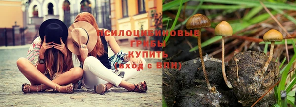 тгк Аркадак